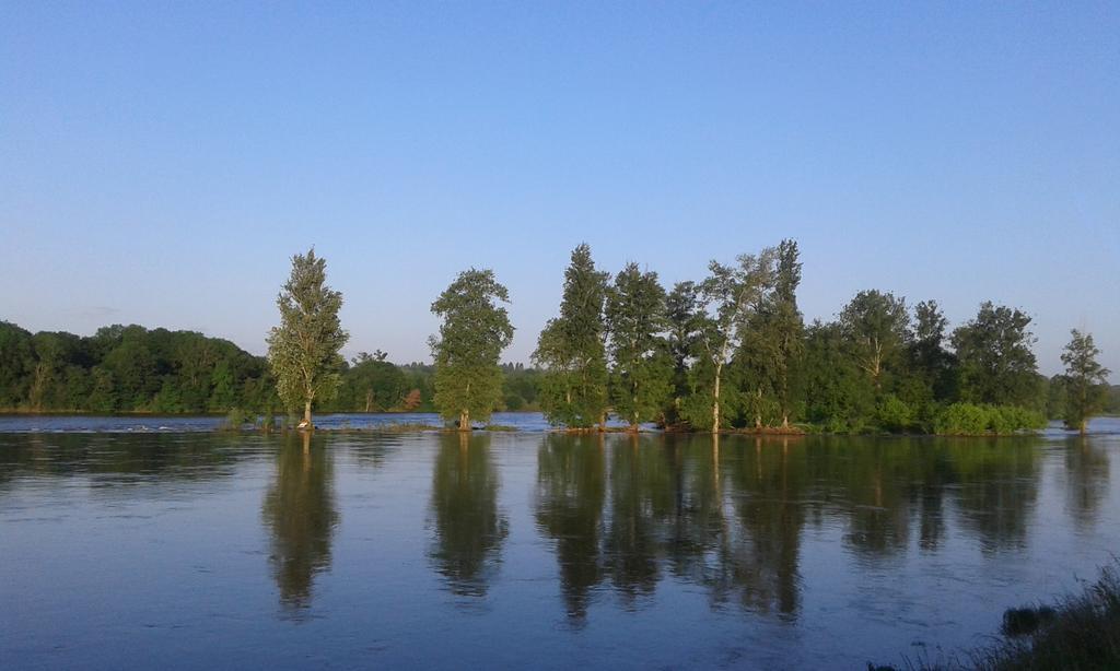 La Chaumiere Bed & Breakfast Ousson-sur-Loire Екстериор снимка