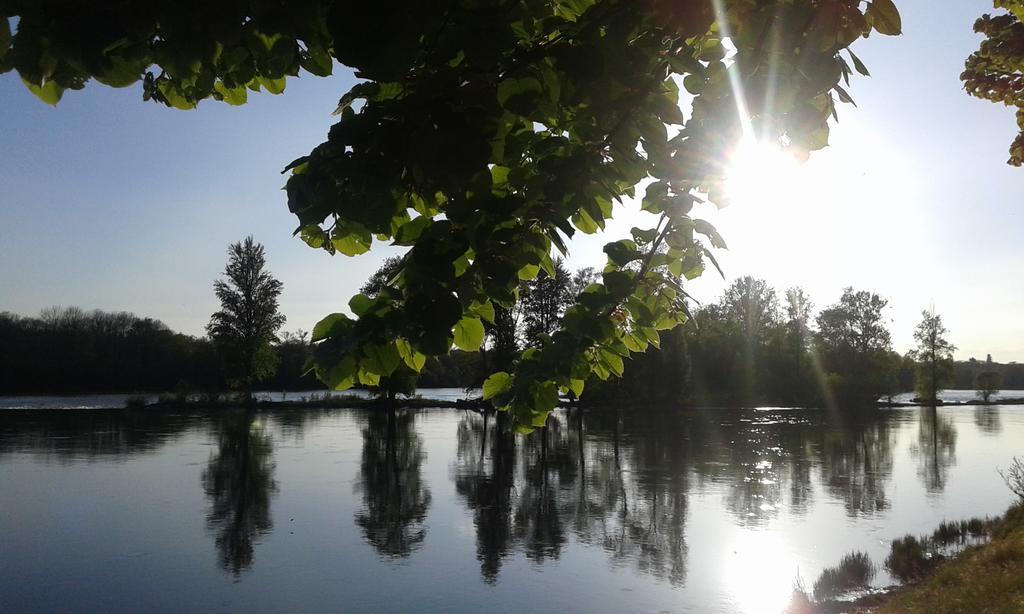 La Chaumiere Bed & Breakfast Ousson-sur-Loire Екстериор снимка