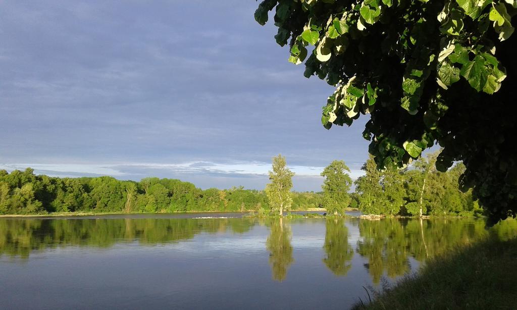 La Chaumiere Bed & Breakfast Ousson-sur-Loire Екстериор снимка
