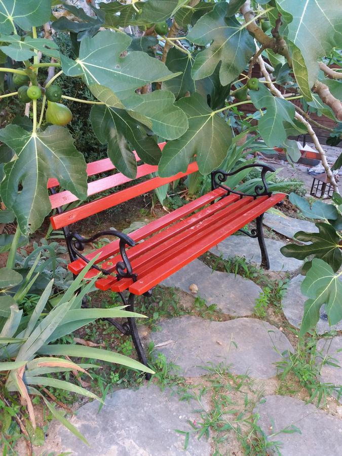 La Chaumiere Bed & Breakfast Ousson-sur-Loire Екстериор снимка